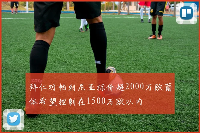 拜仁对帕利尼亚标价超2000万欧葡体希望控制在1500万欧以内